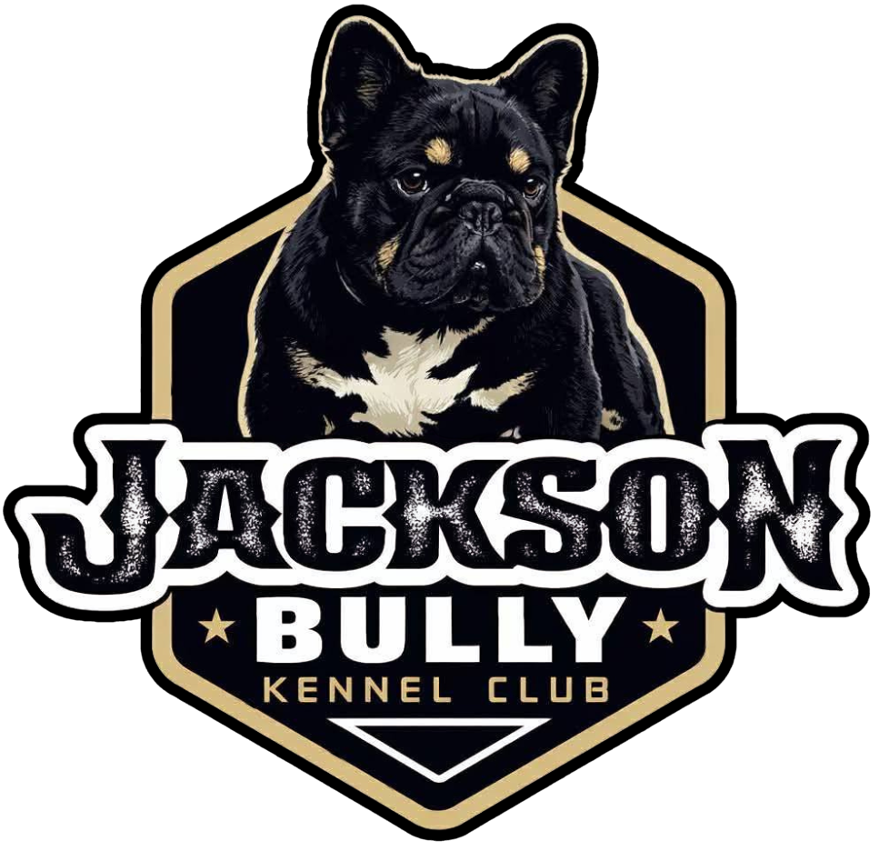 jacksonbullys.com